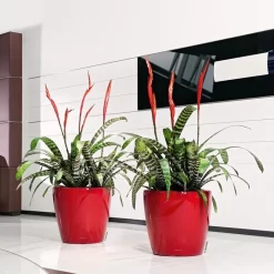 Lechuza Übertopf CLASSICO 70 Scarlet Rot Hochglanz, Ø 70 X H 65 Cm, Kunststoff, Erdbewässerungssystem -Produkte Für Zuhause 03ac653f28e10b66bb1726abf04f9734d7430658 uebertopf lechuza classico 70 scarlet rot hochglanz