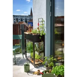 Juliana Gewächshaus Urban Vertical, 0,32 M², 80 X 40 X 158 Cm, Schwarz, Mit Rollen -Produkte Für Zuhause 0d2bbb0aa9fc1ac1644bb9b6ad869b5b549507f4 gewaechshaus juliana urban vertical 0 31 m2