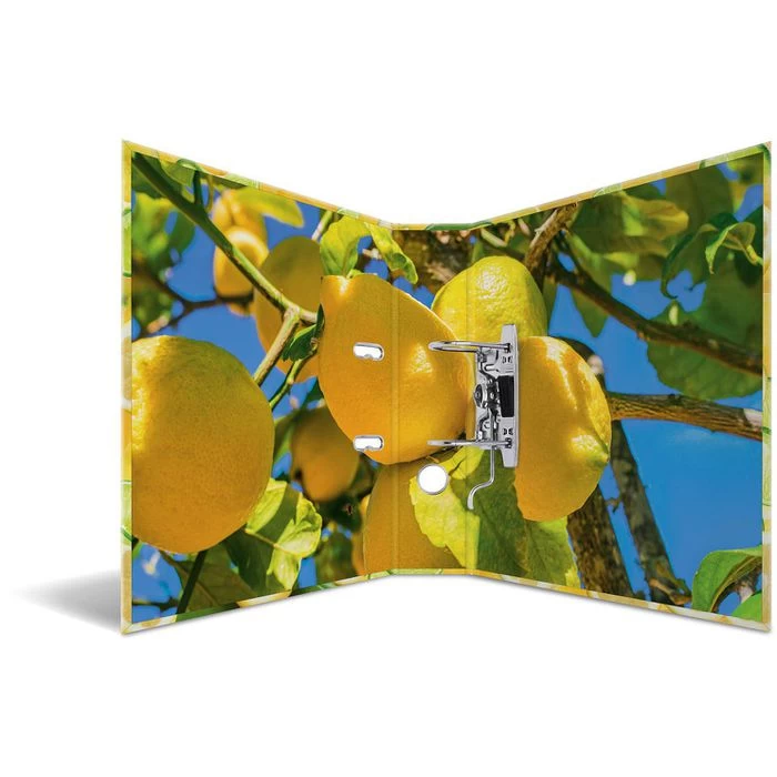 Herma Ordner 7114 Früchte, Karton, A4, 7cm, Motiv Zitrone 2 Herma Ordner 7114 Früchte, Karton, A4, 7cm, Motiv Zitrone – Bild 2