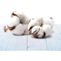 Airwick Raumduft Freshmatic Max Pure, Starterset, 250 Ml, Frische Wäsche -Produkte Für Zuhause 7c9de655eeb93f430c2d6c9214799ae9f0168a3c raumduft airwick freshmatic max pure