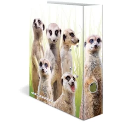 Herma Ordner 19955 Exotische Tiere, Karton, A4, 7cm, Motiv Erdmännchentruppe 8 Herma Ordner 19955 Exotische Tiere, Karton, A4, 7cm, Motiv Erdmännchentruppe -Produkte Für Zuhause 8b5b9c7095b53cdee72caf06c711c9e9776b1f35 ordner herma 19955 exotische tiere karton a4