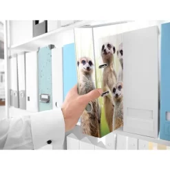 Herma Ordner 19955 Exotische Tiere, Karton, A4, 7cm, Motiv Erdmännchentruppe 7 Herma Ordner 19955 Exotische Tiere, Karton, A4, 7cm, Motiv Erdmännchentruppe -Produkte Für Zuhause 91bbb91ca1d041674298e812bdb4e1e349729dc7 ordner herma 19955 exotische tiere karton a4