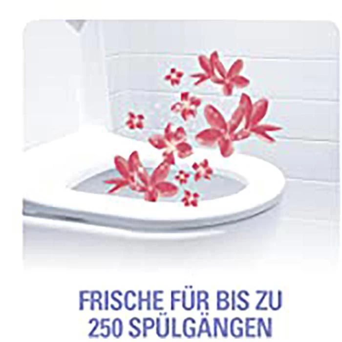Cillit-Bang WC-Duftspüler Blue Wave 6 Blüten, Frische, Im Korb 2 Cillit-Bang WC-Duftspüler Blue Wave 6 Blüten, Frische, Im Korb – Bild 2